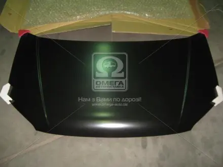 Капот HYUN GETZ 02-05 (вир-во) TEMPEST 027 0240 280