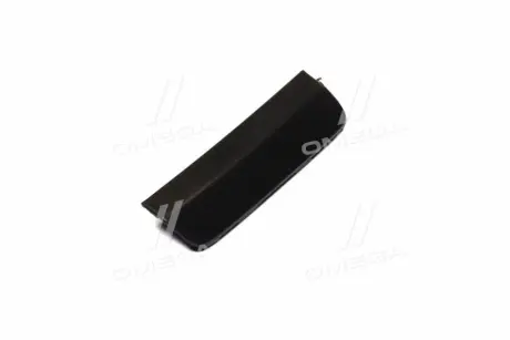 Заглушка гака букс. бамп. пер. пра. TOY RAV4 19- TEMPEST 0495290922