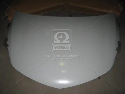Капот ZAZ FORZA 09- (вир-во) TEMPEST 246 4065 280