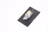 Лампа LED б/ц габарит,панель приборов, салон 12V T10 (W5W) w2.1x9.5d 2COB WHITE <TEMPES… TEMPEST TMPL11196 (фото 4)