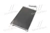 Конденсатор кондиционера NISSAN QASHQAI (J10) 07- TEMPEST TP15940039 (фото 2)