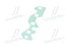 Прокладка коллектора впускного DAEWOO LANOS 1.5, NEXIA 1.5, CHEVROLET AVEO TEMPEST TP96183118 (фото 4)