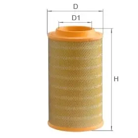 Air filter, primary. Фильтр воздушный, основной THERMO KING 80813884