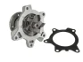Насос охолоджуючої рідини, з ущільненням MINI (R50, R53) TOYOTA AURIS, COROLLA, YARIS 1.3/1.4D 09.02-12.18 THERMOTEC D12093TT (фото 2)