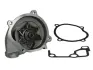 Насос охолоджуючої рідини, з ущільненням MAZDA 3, 323 F VI, 323 P V, 323 S V, 323 S VI, 5, 6, 626 V, MPV II, PREMACY 1.4/2.0D 10.96-12.10 THERMOTEC D13028TT (фото 1)