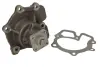 Насос охолоджуючої рідини, з ущільненням FORD TRANSIT, TRANSIT TOURNEO 2.4D/2.5D 10.83-12.00 THERMOTEC D1G026TT (фото 2)
