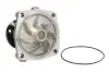 Насос охолоджуючої рідини, з ущільненням ALFA ROMEO 155, 164, 33 CHRYSLER GRAND VOYAGER III, VOYAGER II, VOYAGER III, VOYAGER IV FORD SCORPIO II JEEP CHEROKEE 1.8D-3.1D 01.88-02.08 THERMOTEC D1G042TT (фото 1)