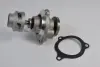 Насос охолоджуючої рідини, з ущільненням FORD FIESTA V, FUSION, KA, STREET KA 1.3/1.6 09.96-11.08 THERMOTEC D1G054TT (фото 1)