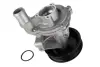 Насос охолоджуючої рідини, з ущільненням FORD TRANSIT LAND ROVER DEFENDER 2.4D 01.00-02.16 THERMOTEC D1G056TT (фото 1)