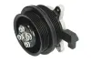Насос охолоджуючої рідини, з ущільненням AUDI A1 SEAT ALHAMBRA, IBIZA IV, IBIZA IV SC, IBIZA IV ST SKODA FABIA II VW BEETLE, CC B7, EOS, GOLF PLUS V, GOLF V 1.4/1.4ALK/1.4CNG 11.05-07.18 THERMOTEC D1W064TT (фото 1)