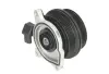 Насос охолоджуючої рідини, з ущільненням AUDI A1 SEAT ALHAMBRA, IBIZA IV, IBIZA IV SC, IBIZA IV ST SKODA FABIA II VW BEETLE, CC B7, EOS, GOLF PLUS V, GOLF V 1.4/1.4ALK/1.4CNG 11.05-07.18 THERMOTEC D1W064TT (фото 2)