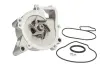 Насос охолоджуючої рідини, з ущільненням ALFA ROMEO 159, SPIDER CHEVROLET CAPTIVA, CORSA, EQUINOX, HHR FIAT CROMA OPEL ANTARA A, ASTRA G, ASTRA J GTC, GT, INSIGNIA A 1.0ALK-2.4 08.99- THERMOTEC D1X052TT (фото 1)