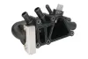Термостат системи охолодження FORD FIESTA, FIESTA IV, FIESTA V, FOCUS I, KA, STREET KA 1.0/1.3/1.6 09.96-11.08 THERMOTEC D2G006TT (фото 2)