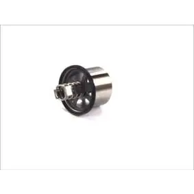 Thermostat, cooling system. Термостат, система охлаждения THERMOTEC D2VO002TT