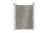 Радіатор пічки DACIA LOGAN II, LOGAN MCV II, SANDERO II RENAULT CLIO IV, KAPTUR, LOGAN I, LOGAN/STEPWAY II, SANDERO/STEPWAY II, THALIA III 0.9-2.0 02.08- THERMOTEC D6R018TT (фото 2)