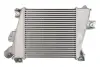 Інтеркулер THERMOTEC DA1012TT (фото 2)