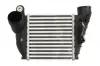Інтеркулер THERMOTEC DAA008TT (фото 1)