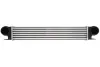 Інтеркулер THERMOTEC DAB006TT (фото 1)