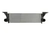 Інтеркулер THERMOTEC DAE003TT (фото 1)