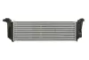 Інтеркулер THERMOTEC DAE003TT (фото 2)