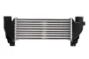 Інтеркулер FORD FIESTA, FIESTA IV, FOCUS I, TOURNEO CONNECT, TRANSIT CONNECT 1.8/1.8D/1.8LPG 08.95-12.13 THERMOTEC DAG031TT (фото 1)