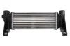Інтеркулер FORD FIESTA, FIESTA IV, FOCUS I, TOURNEO CONNECT, TRANSIT CONNECT 1.8/1.8D/1.8LPG 08.95-12.13 THERMOTEC DAG031TT (фото 2)