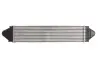 Інтеркулер THERMOTEC DAI002TT (фото 2)