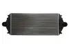 Елемент повітряного охолодж. THERMOTEC DAP001TT (фото 1)