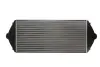 Елемент повітряного охолодж. THERMOTEC DAP001TT (фото 2)