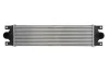 Інтеркулер NISSAN INTERSTAR OPEL MOVANO A RENAULT MASTER II 1.9D-3.0D 12.97- THERMOTEC DAR002TT (фото 1)