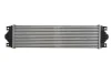 Інтеркулер NISSAN INTERSTAR OPEL MOVANO A RENAULT MASTER II 1.9D-3.0D 12.97- THERMOTEC DAR002TT (фото 2)