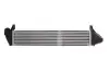 Інтеркулер THERMOTEC DAR005TT (фото 2)