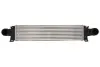 Інтеркулер THERMOTEC DAV008TT (фото 1)