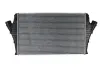 Інтеркулер THERMOTEC DAX002TT (фото 1)