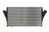 Інтеркулер THERMOTEC DAX011TT (фото 1)