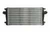 Інтеркулер THERMOTEC DAX013TT (фото 1)