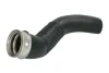 Шланг інтеркулера BMW X5 (E70), X6 (E71, E72) 3.0D 10.08-07.14 THERMOTEC DCB151TT (фото 1)