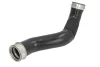 Шланг інтеркулера лів MERCEDES CLS (C219), E T-MODEL (S211), E (VF211), E (W211) 3.0D 01.05-12.10 THERMOTEC DCM081TT (фото 1)