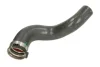 Шланг інтеркулера (довг) OPEL VIVARO B RENAULT TRAFIC III 1.6D 05.14- THERMOTEC DCR232TT (фото 1)