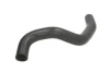 шланг гумовий системи охолодження нижн HYUNDAI GETZ 1.3/1.4/1.6 09.02-12.10 THERMOTEC DW0517TT - фото 1