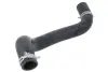 Шланг гумовий системи охолодження Нижн HYUNDAI I30 1.6D-2.0D 10.07-06.12 THERMOTEC DW0527TT (фото 1)