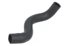 Шланг гумовий системи охолодження Нижн MITSUBISHI L200 2.5D 01.96-12.07 THERMOTEC DW5008TT (фото 1)