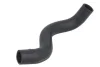 Шланг гумовий системи охолодження Нижн MITSUBISHI L200 2.5D 01.96-12.07 THERMOTEC DW5008TT (фото 2)