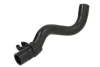 Шланг гумовий системи охолодження Верх RENAULT CLIO II, KANGOO 1.4/1.6 08.97- THERMOTEC DWR195TT (фото 1)