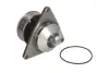 Насос охолоджуючої рідини CUMMINS 6C ISC, AGCO R42, R62 CASE IH 1480, 1660, 1680, 1822, 1844, 2055, 2155, 721, 7110, 7120, 7130, 7140, 7210, 7210 PRO, 7220, 7220 PRO, 7230, 7230 PRO, 7240 THERMOTEC WPCM102 (фото 3)