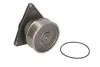 Насос охолоджуючої рідини CUMMINS 6C ISC, AGCO R42, R62 CASE IH 1480, 1660, 1680, 1822, 1844, 2055, 2155, 721, 7110, 7120, 7130, 7140, 7210, 7210 PRO, 7220, 7220 PRO, 7230, 7230 PRO, 7240 THERMOTEC WPCM102 (фото 4)