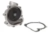 Насос охолоджуючої рідини DEUTZ FAHR 1130 TTV, 1145 TTV, 1160 TTV, 120 MK2, 120 MK3, 128, 130, 135 MK2, 135 MK3, 140, 150 MK2, 150 MK3, 150.7, 155, 160 MK2, 165, 165 MK3, 165.7, 175 MK2 THERMOTEC WPDZ107 (фото 2)