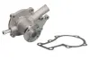 Насос охолоджуючої рідини KUBOTA B 1410, B 1610, B 7400, B 7400 HSD, B 1800 D, B 1800 E THERMOTEC WPKU107 (фото 2)