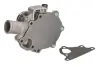 Насос охолоджуючої рідини PERKINS 103.15, BENFRA 9.01B CASE IH 15, 16 CATERPILLAR 225D, 304.5E2 XTC, 902, 902 C, 902 C2 GEHL 145, 165, 245 JCB 801, 8015, 8016, 8017, 8018 WEIDEMANN 912 D/P THERMOTEC WPPK127 (фото 2)