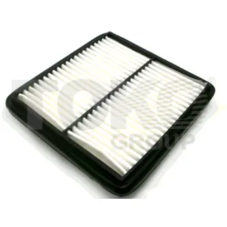 Air filter. Фильтр воздушный TOKO T1202003